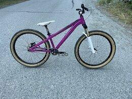 2019 Unknown Befly air one Dema Pink