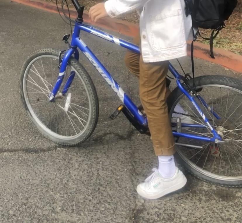 Schwinn Frontier Blue