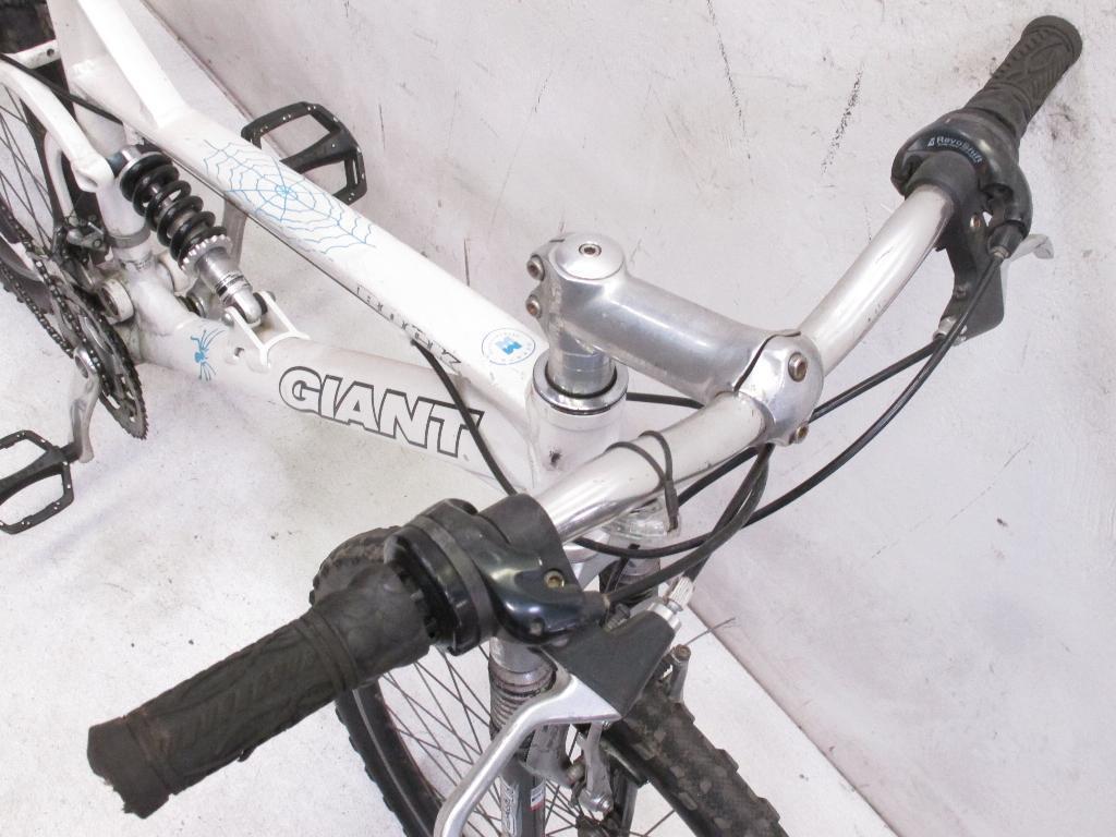 2008 Giant Rock White