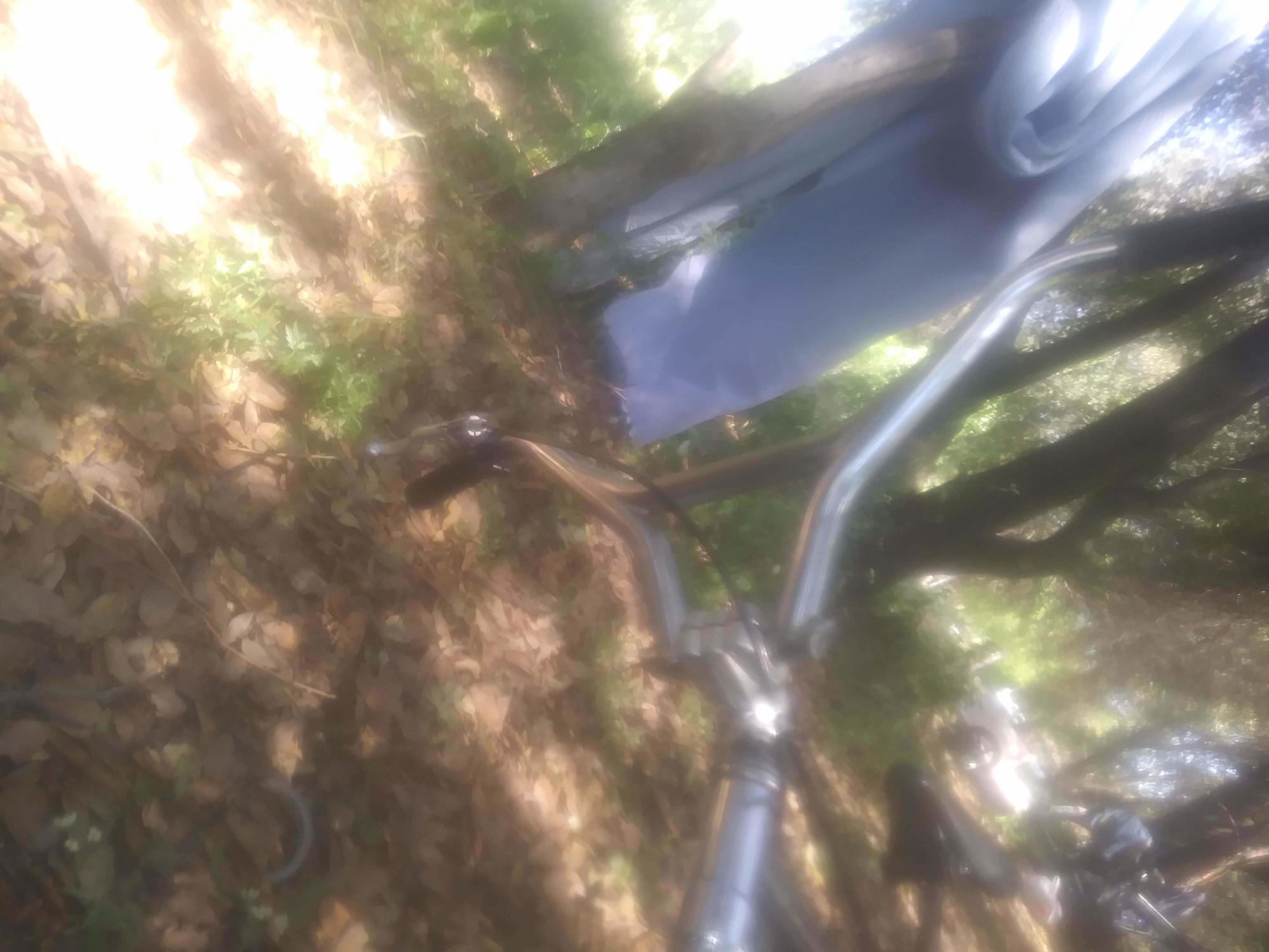 1985 Haro Fst Silver, gray or bare metal and Black