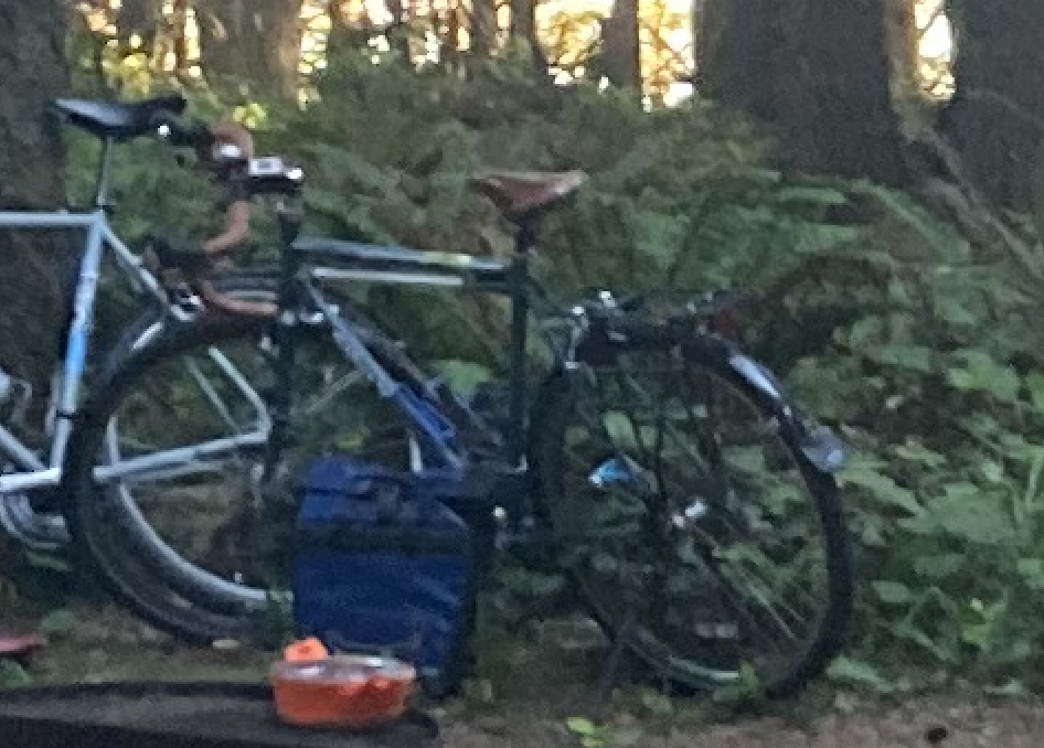 Surly Long Haul Trucker Silver, gray or bare metal and Stickers tape or other cover-up