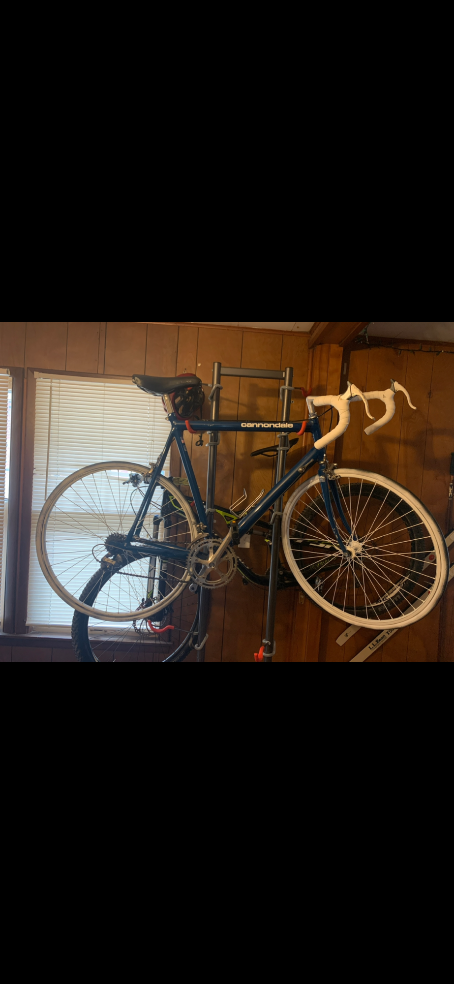 1985 Cannondale Unknown, year is guessed Blue and White