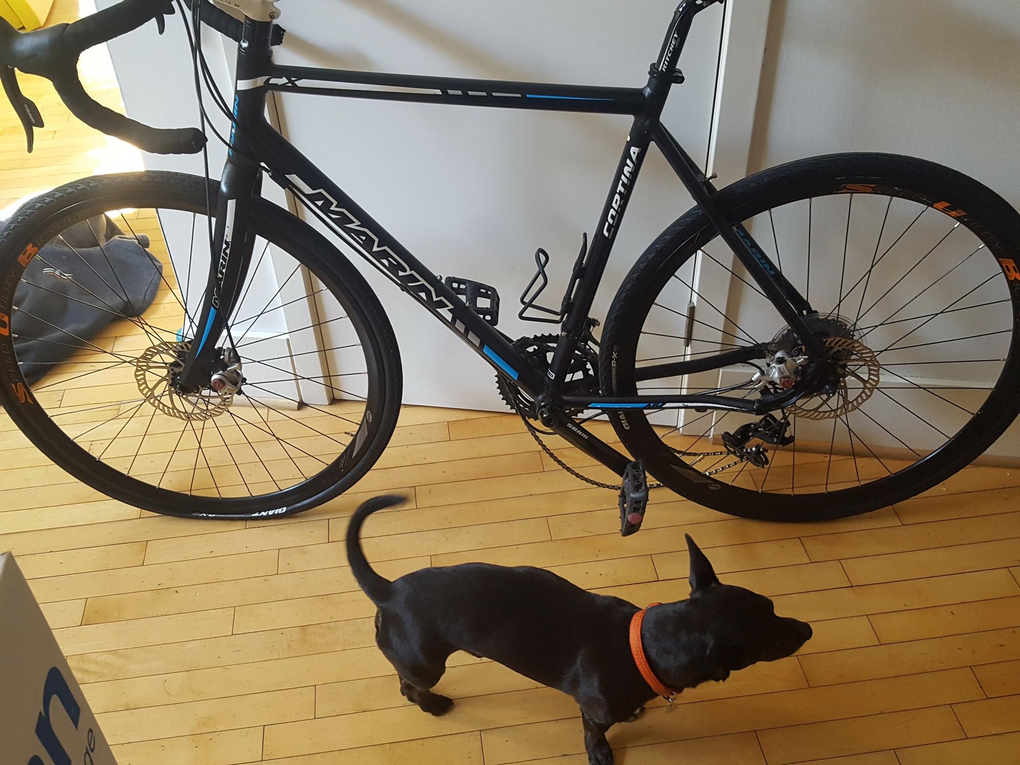 2012 Marin Bikes Cortina Black