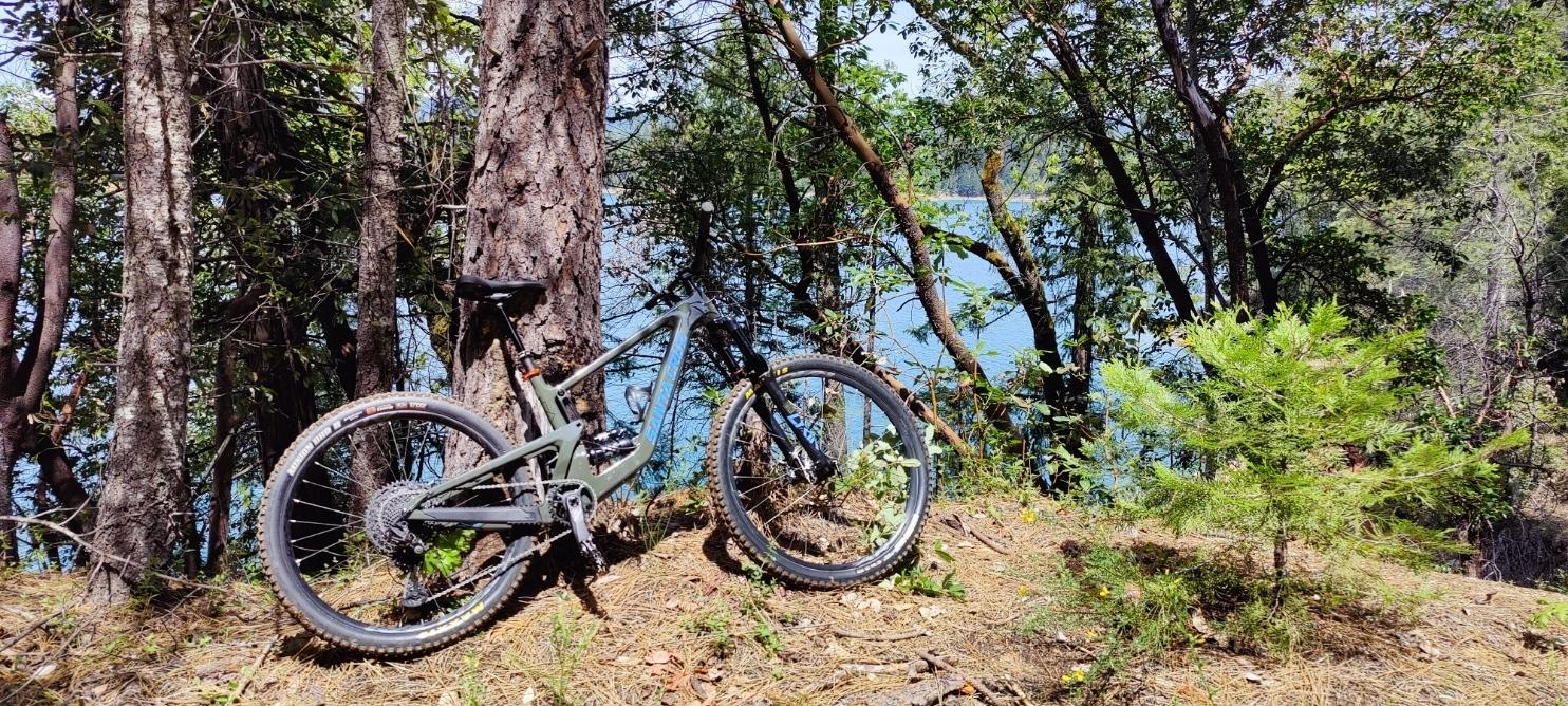 2022 Santa Cruz Bronson Green