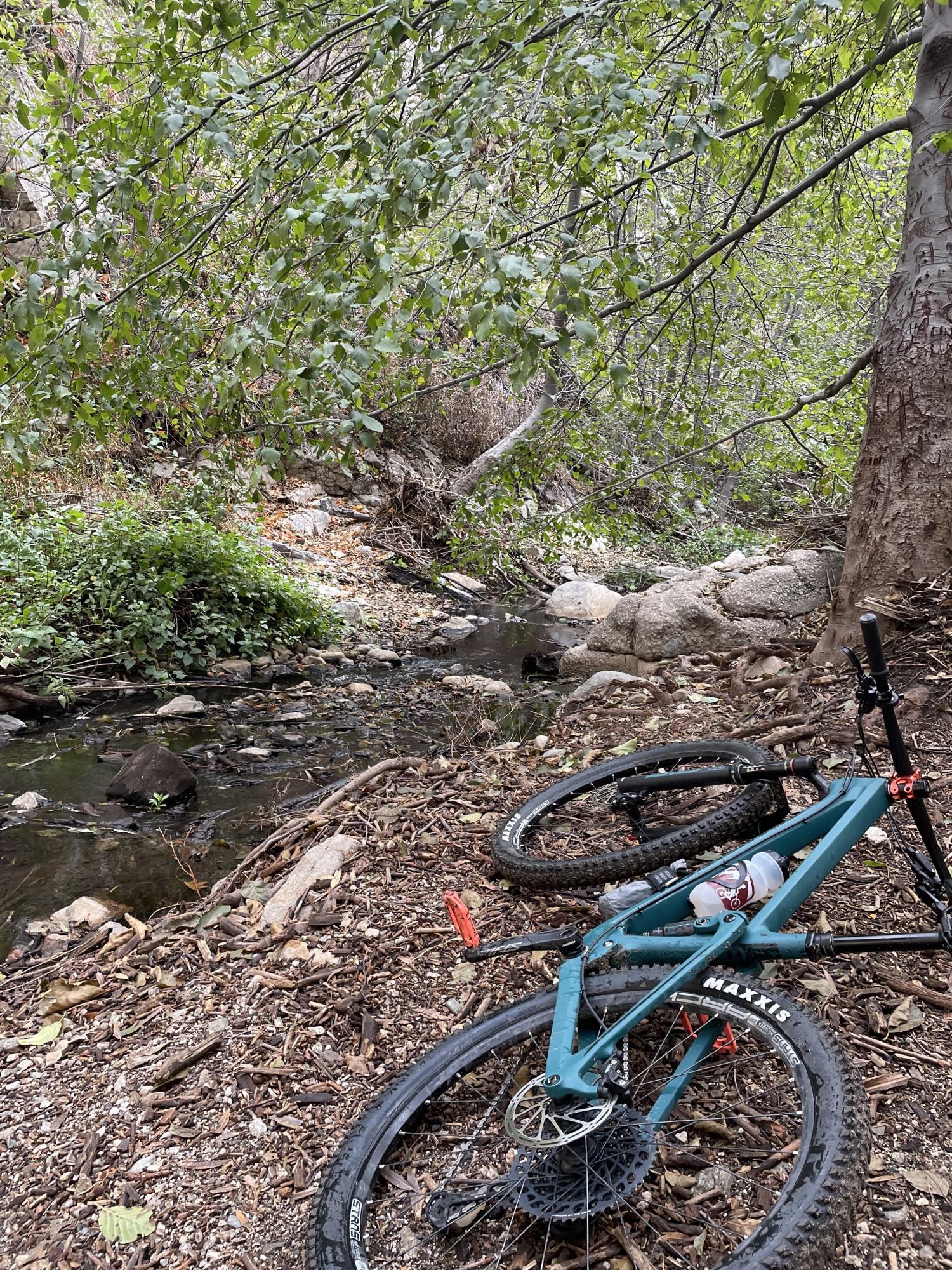 2021 Transition Bikes Spur Green