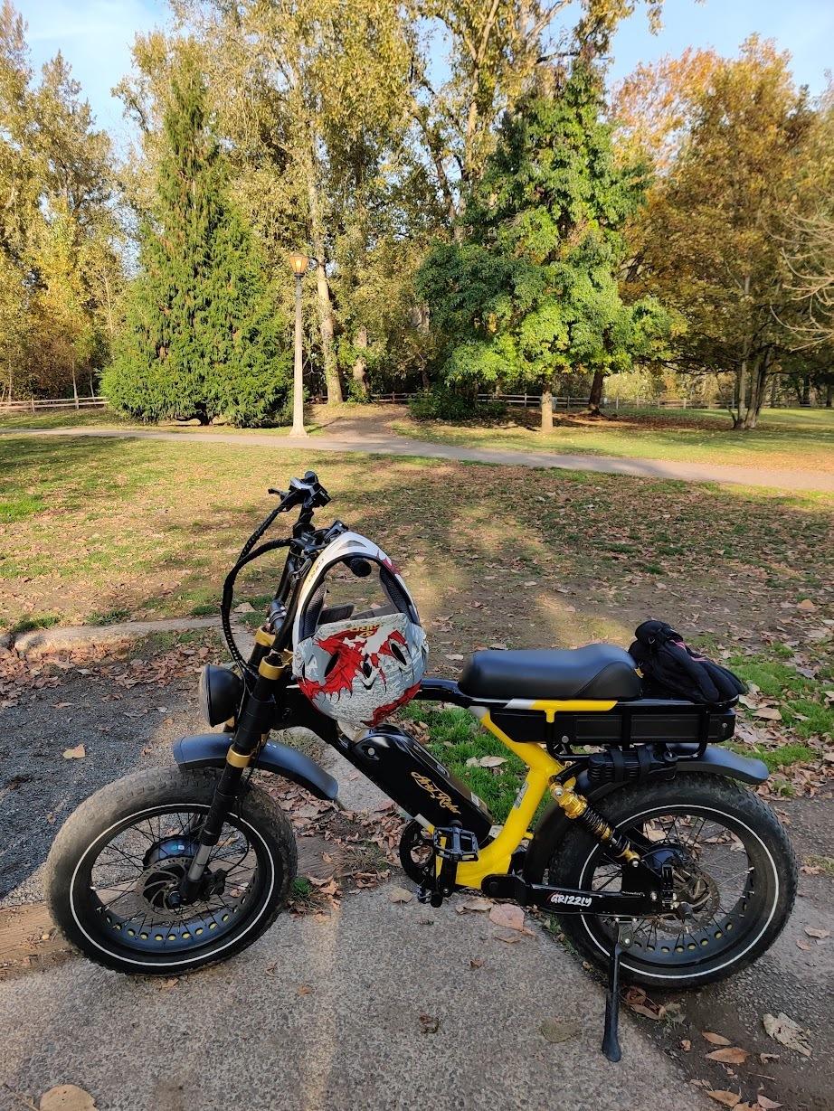 2022 Ariel Rider Grizzly 52v Yellow or Gold