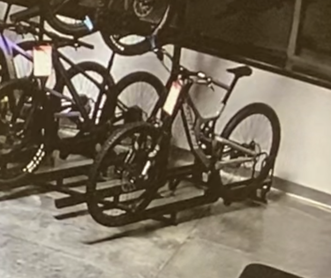 Santa Cruz Santa Cruz V10 29 DH S Build Silver, gray or bare metal