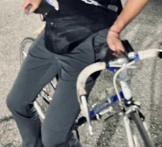 Jamis Blue and White