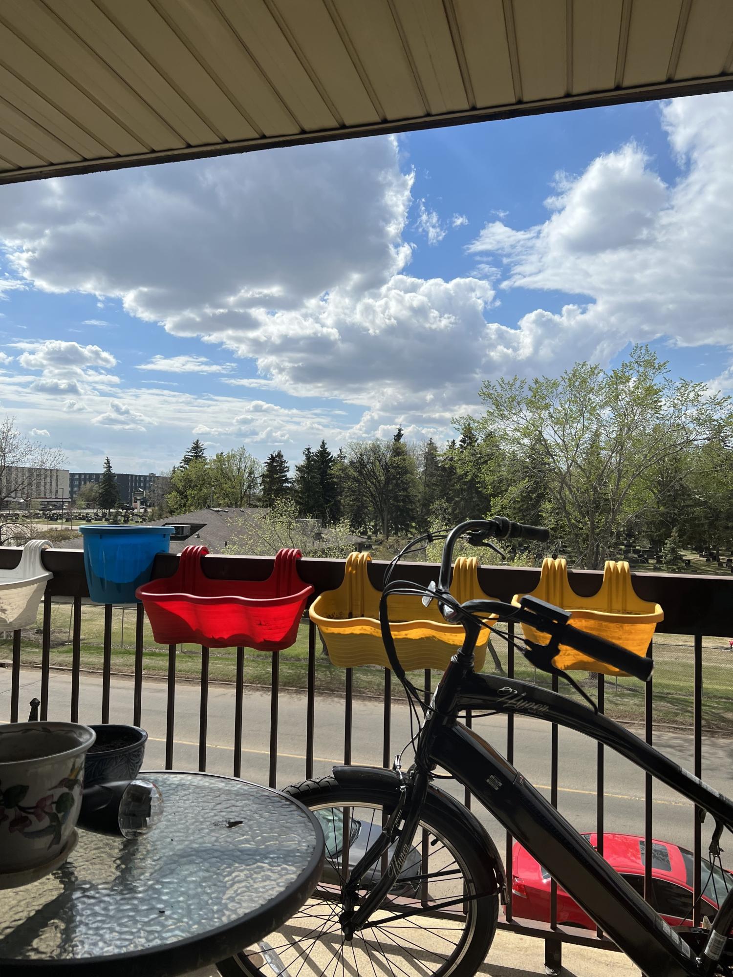 2023 Hyper 26 inch 36 v battery Black