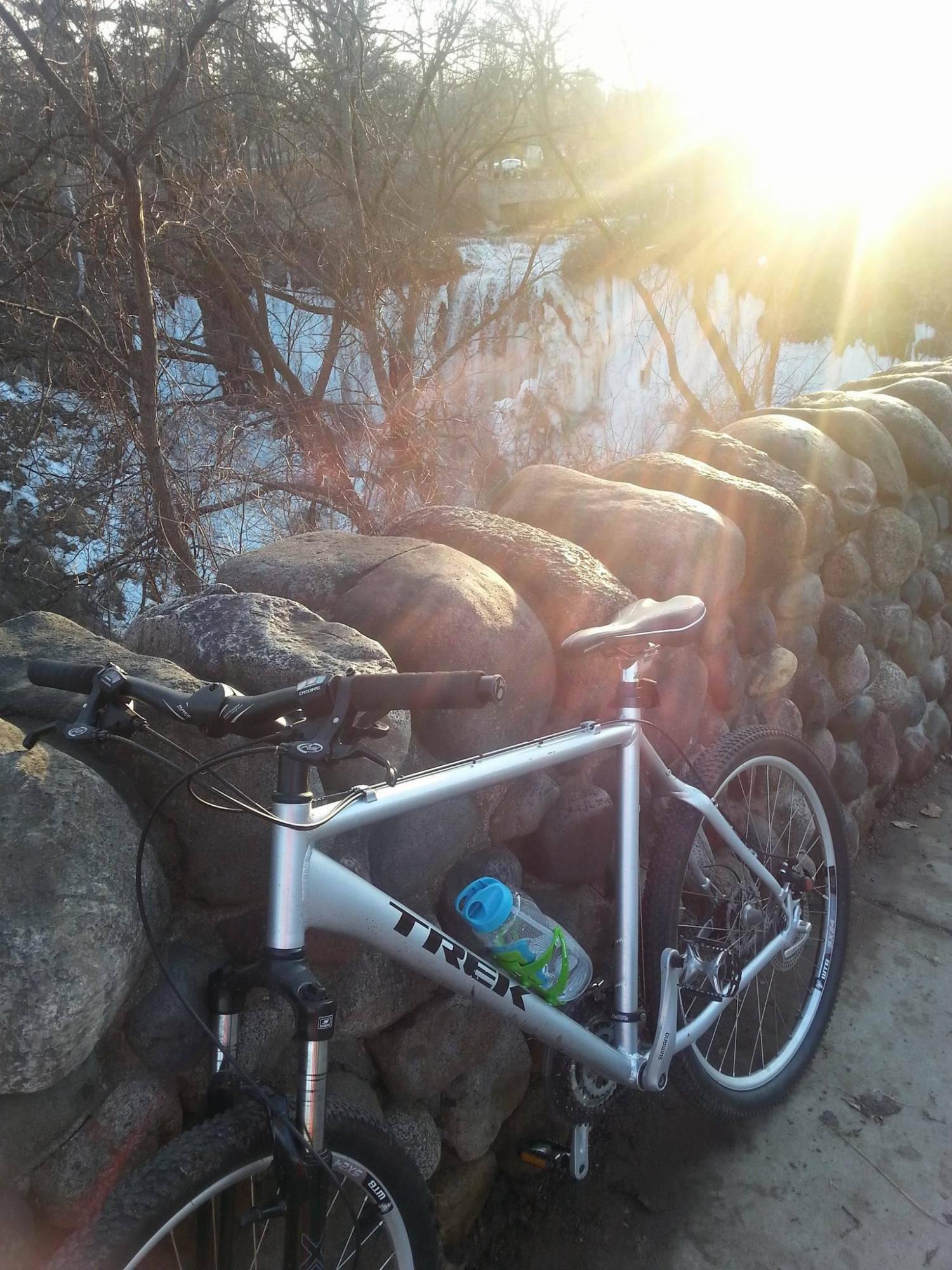 2015 Trek Silver or Gray