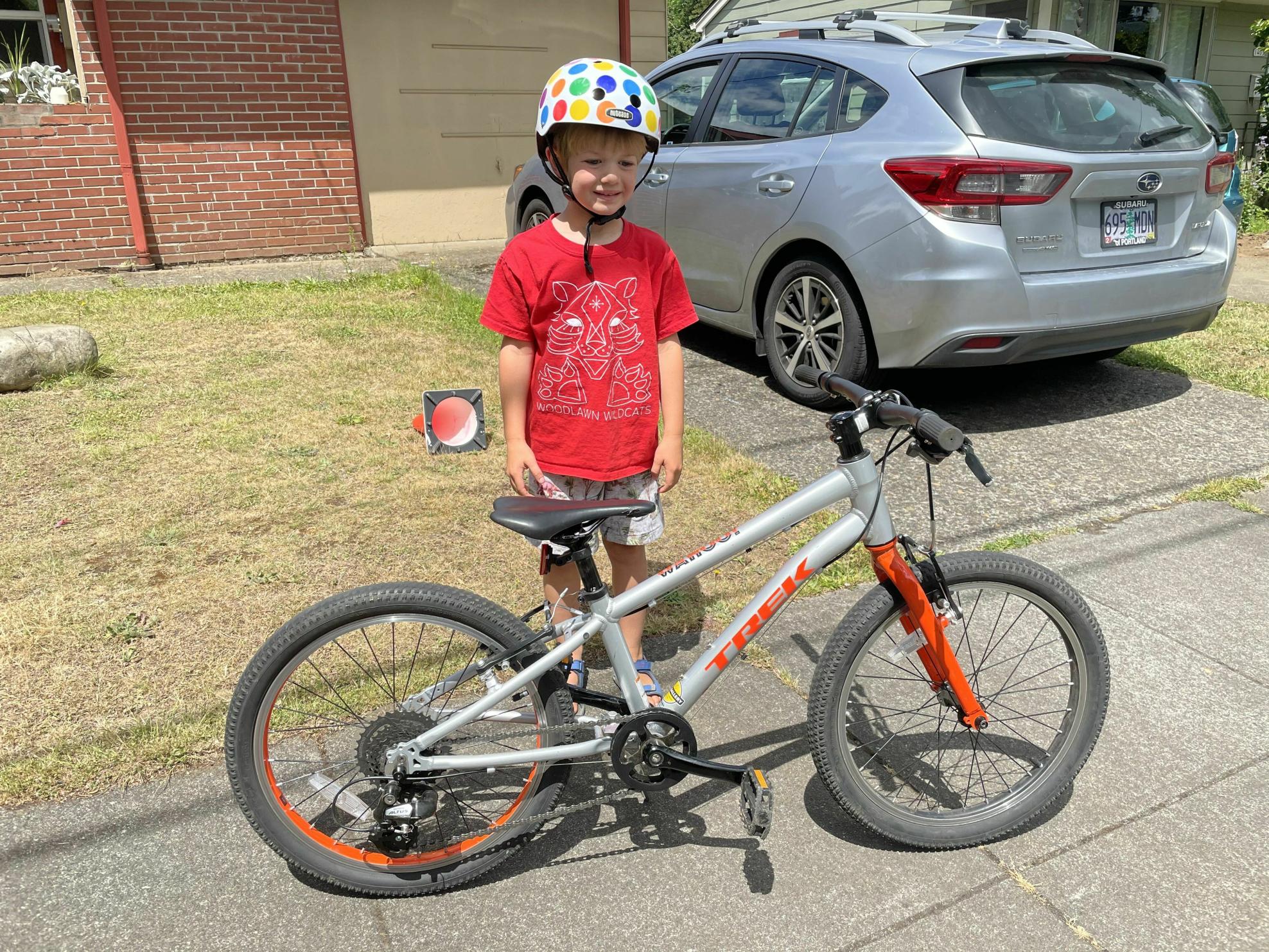 2023 Trek Wahoo Silver, gray or bare metal