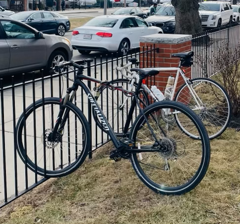2019 Specialized Rockhopper Black