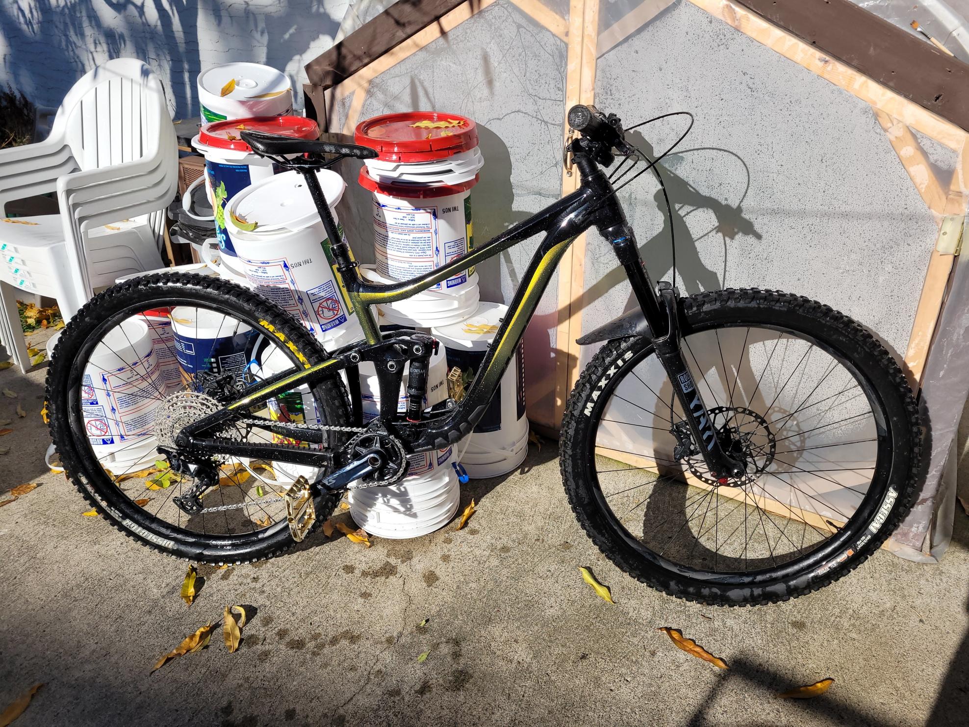 2021 Giant Reign 2 Black and Green