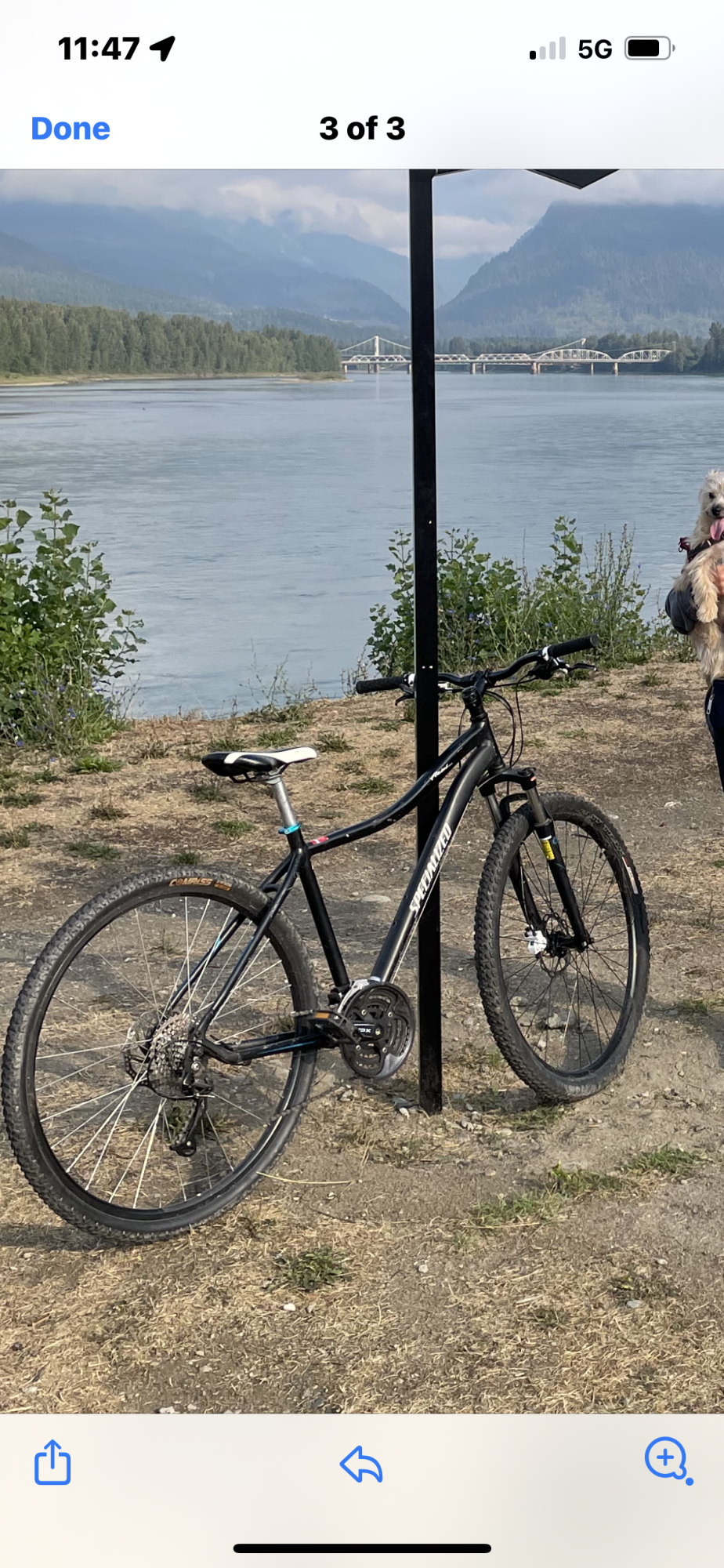 Specialized Ariel Black