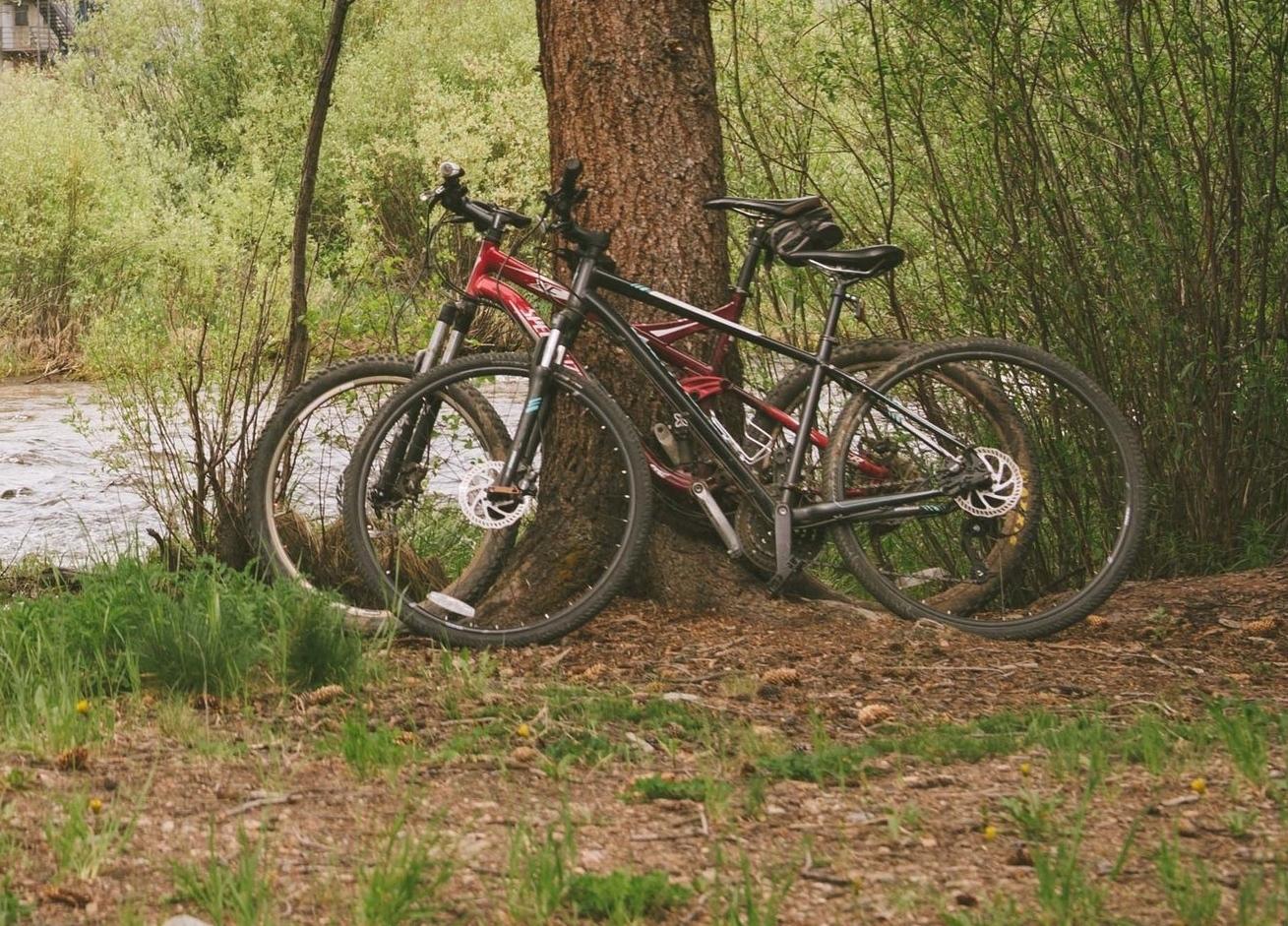 2013 Specialized Ariel Disc  Black