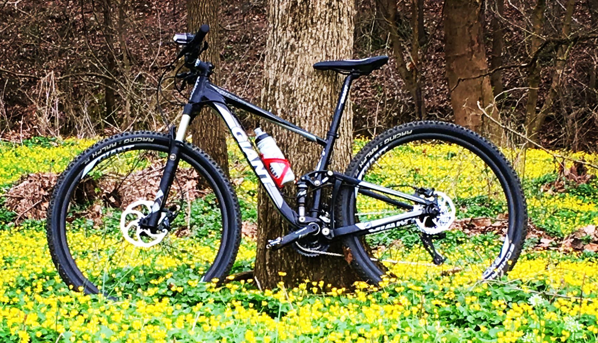 Giant Anthem Black