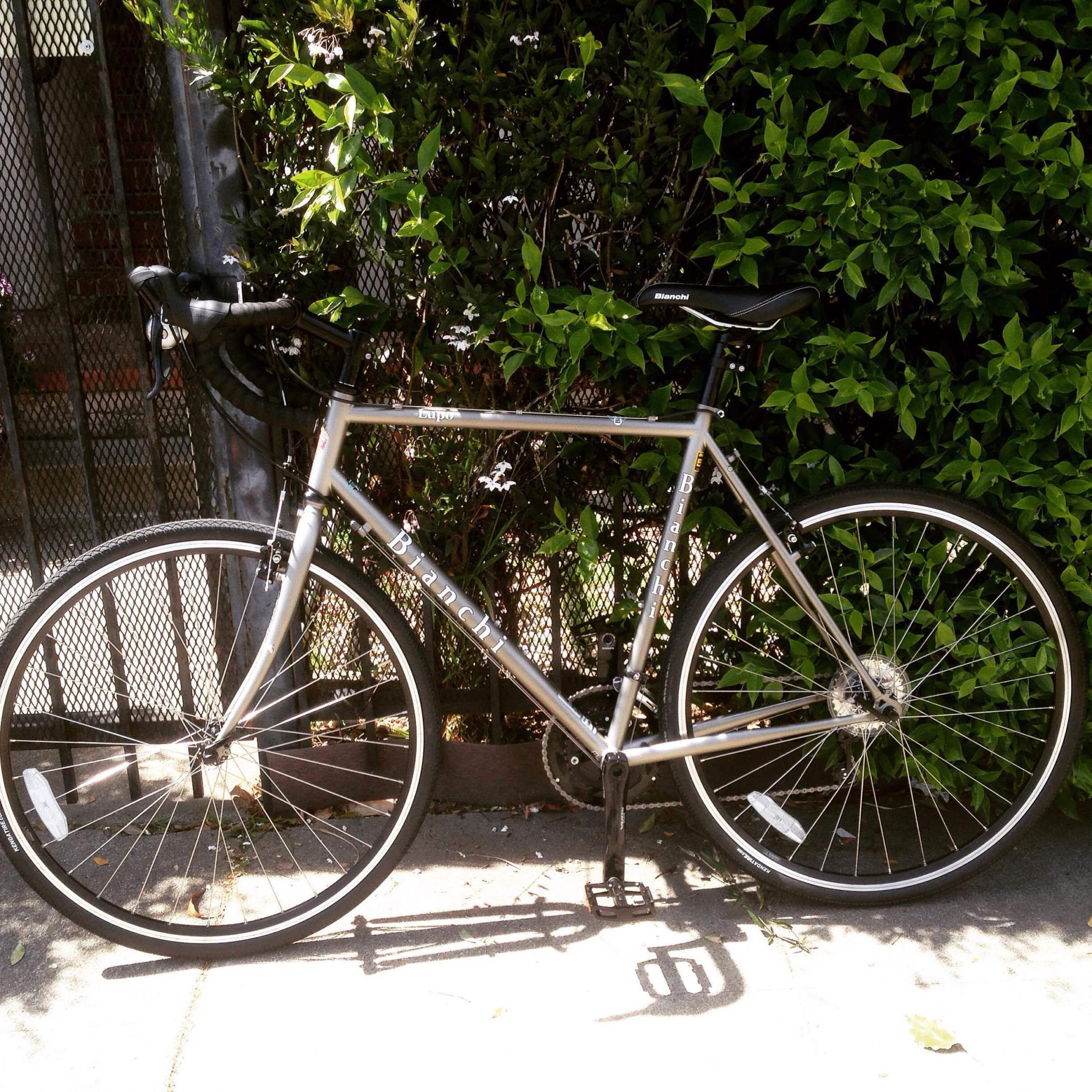 2015 Bianchi Lupo Silver or Gray