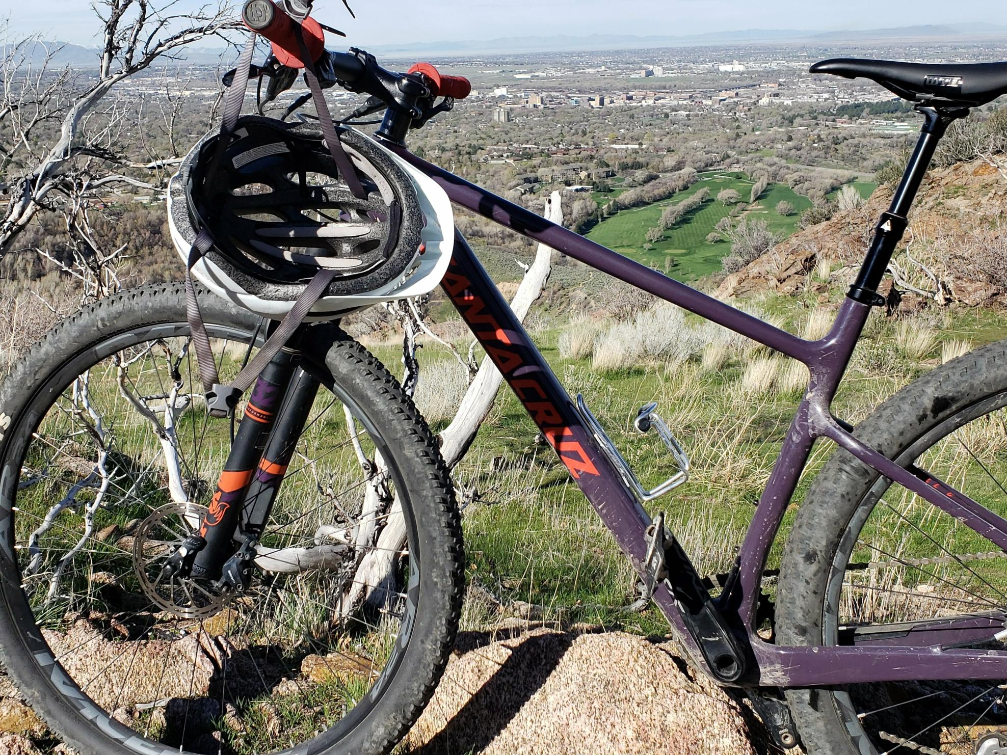 2019 Santa Cruz Highball Purple