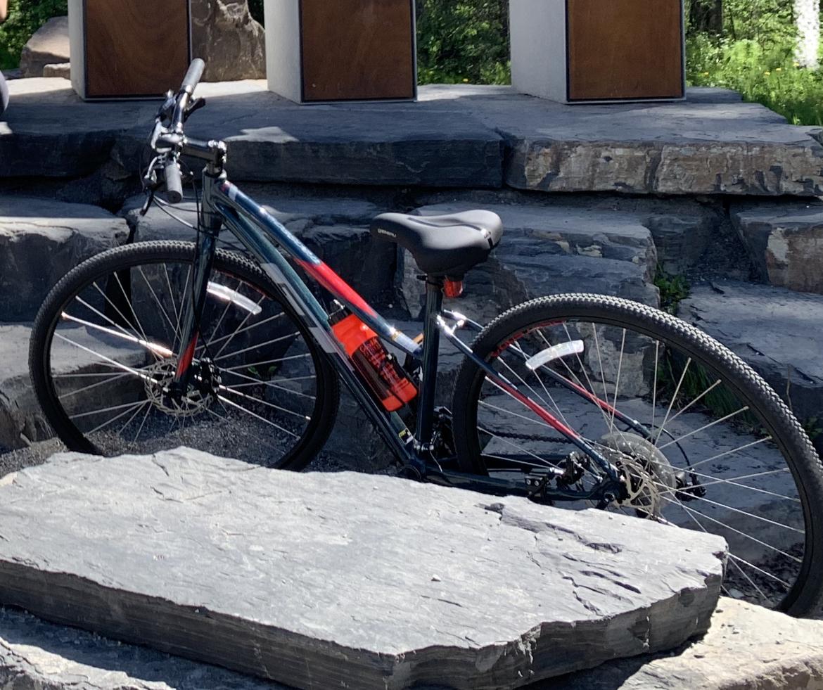 2020 GT Bicycles Blue and Red