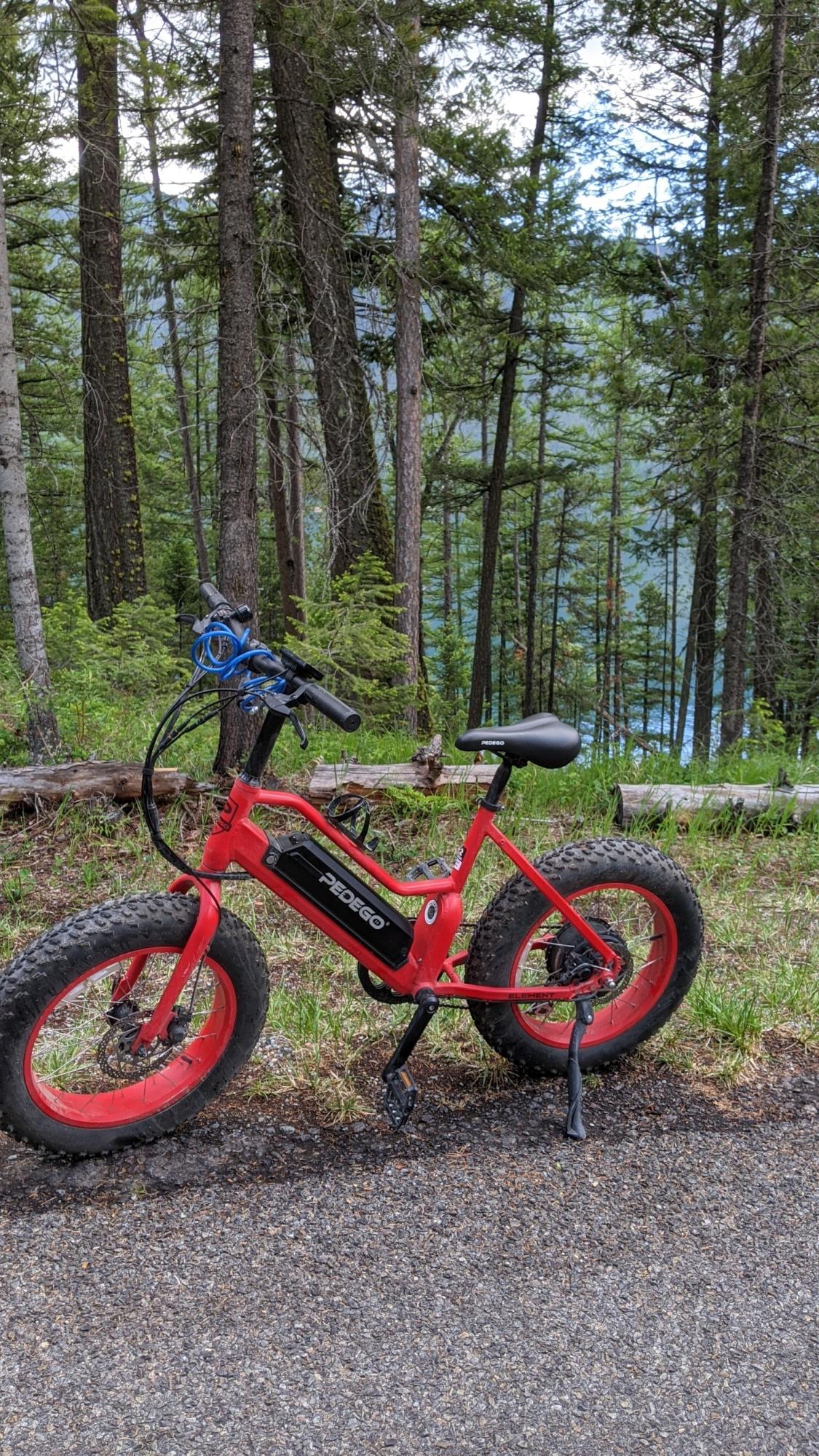 2020 Pedego Element Red