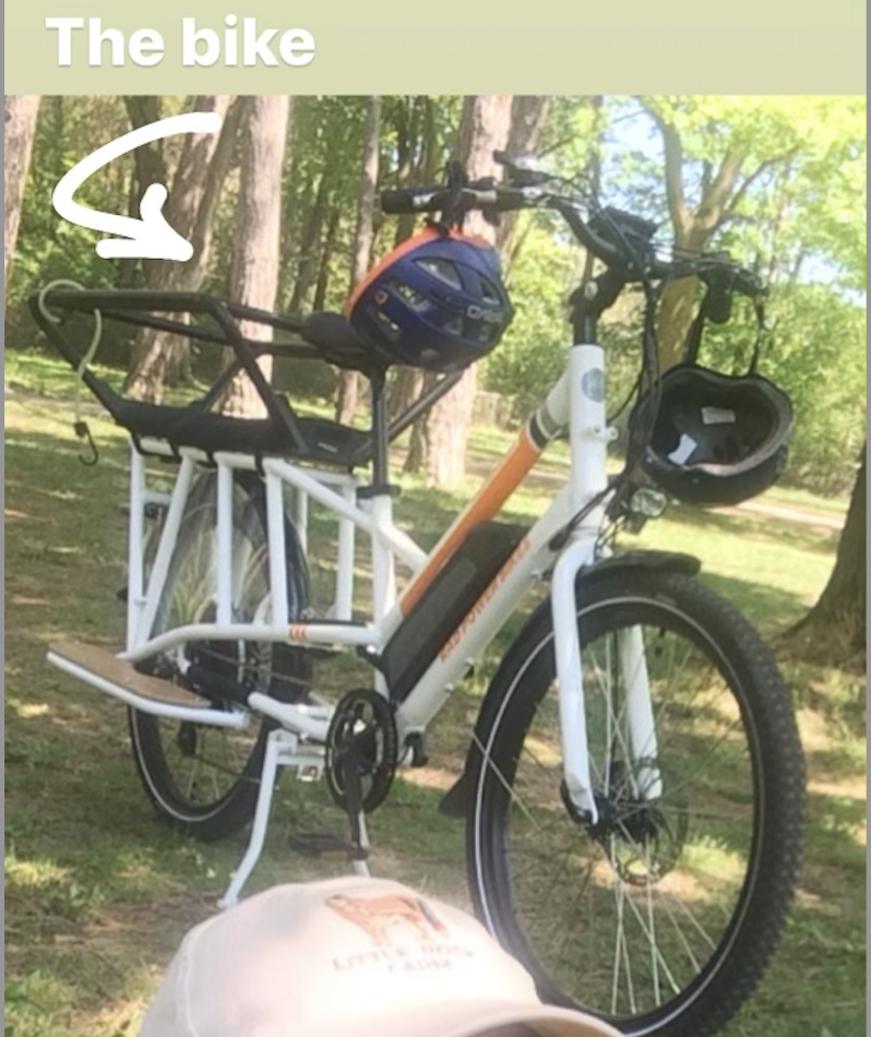 2019 Rad Power Bikes RadWagon White and Orange