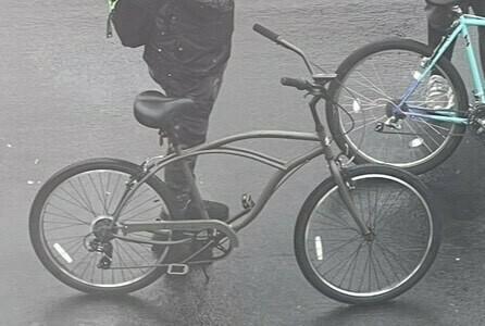 Lion's Bike Shop Golden Cruiser Classic Green