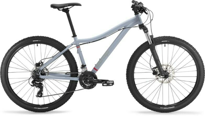 2022 REI DRY 1.1 (Co-op Cycles 6061 aluminum) Silver, gray or bare metal