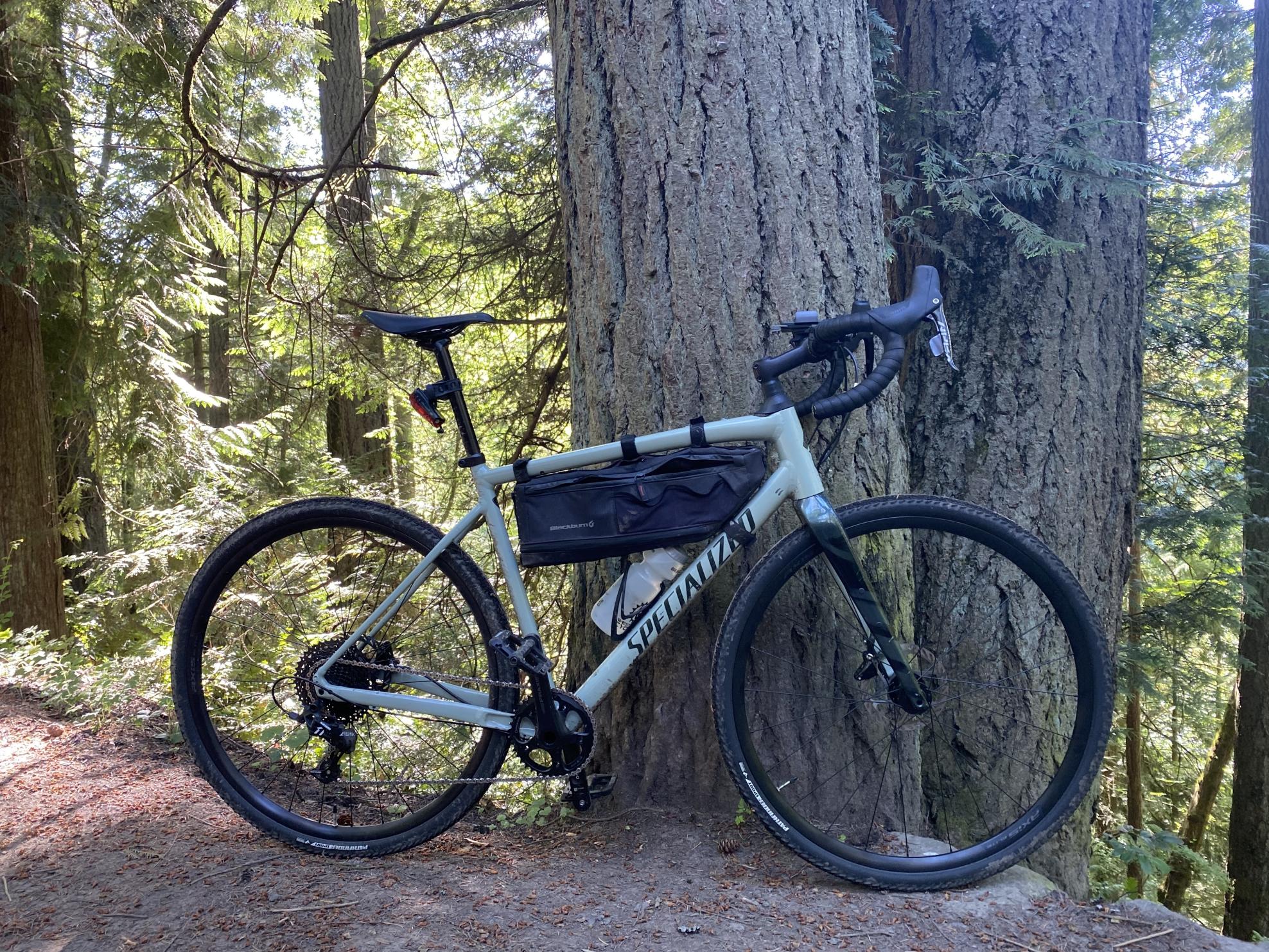 2022 Specialized Diverge Green