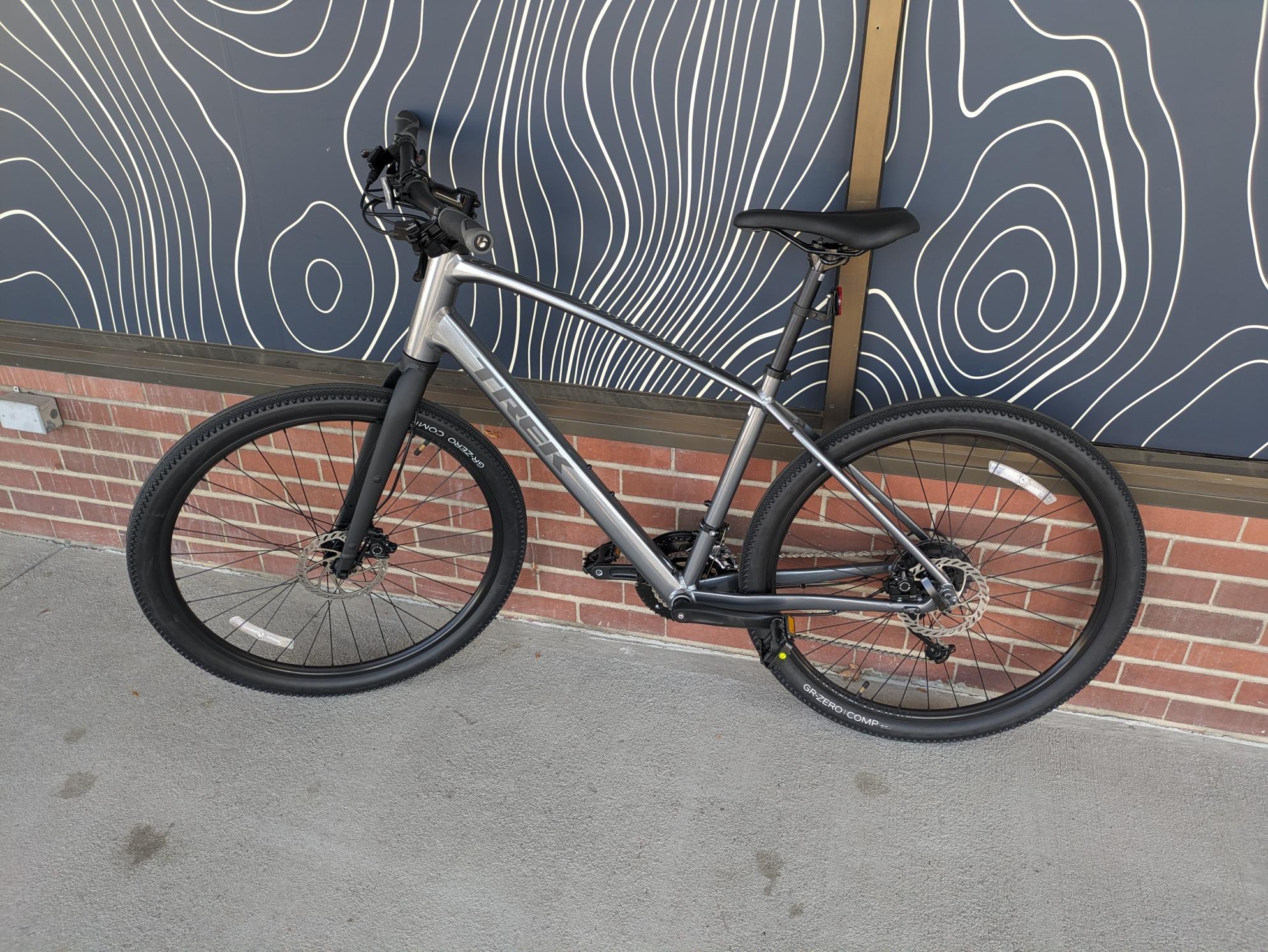 2024 Trek Dual Sport 2 L Gal Silver, gray or bare metal