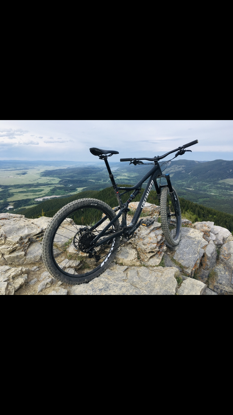 2018 Specialized Stumpjumper alloy Black
