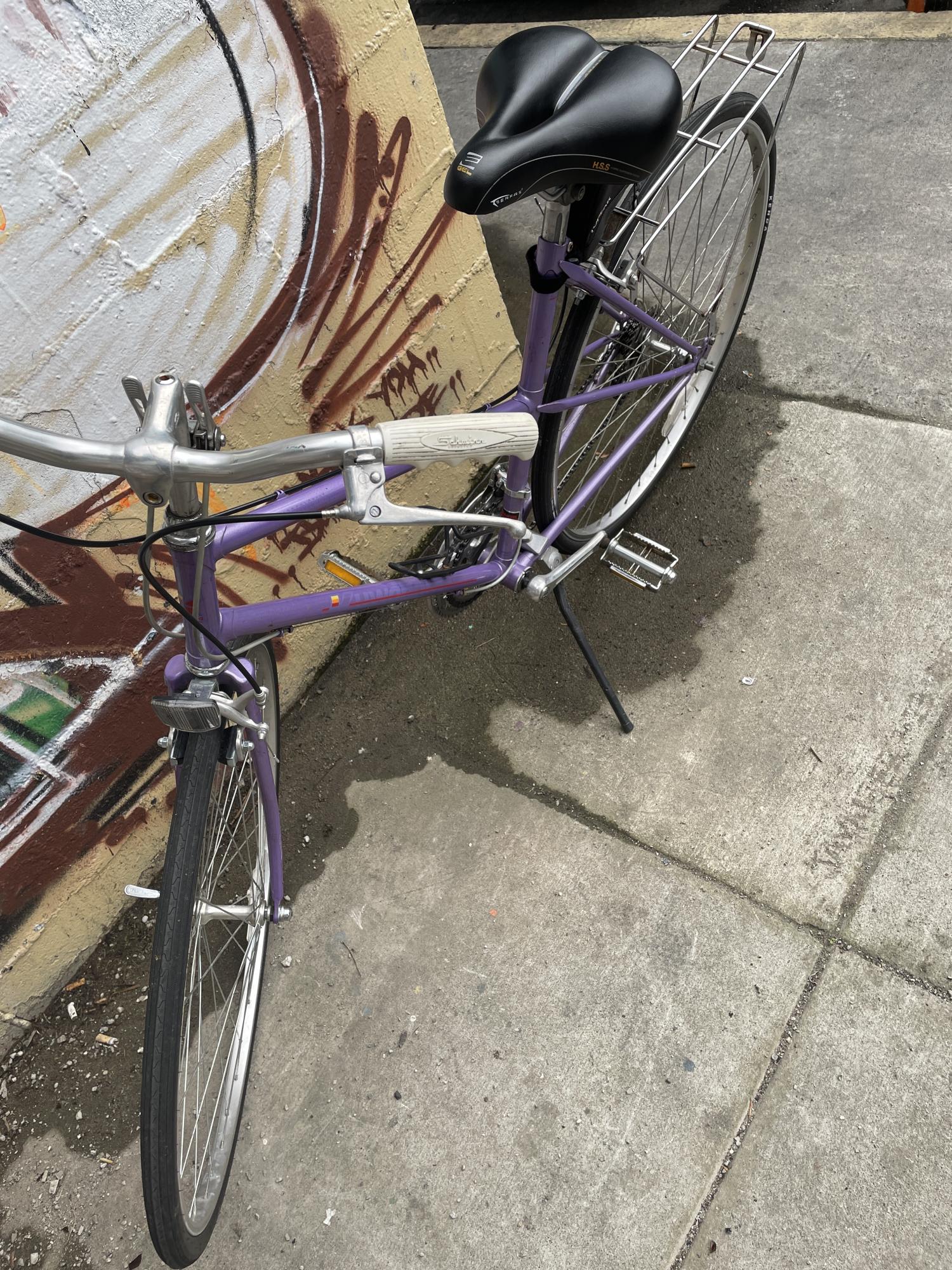 Nishiki Purple