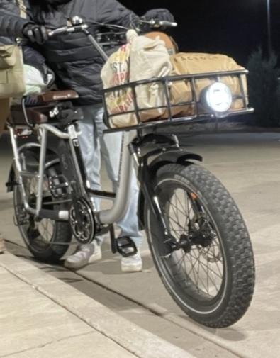 2023 Rad Power Bikes RadRunner Plus Silver, gray or bare metal