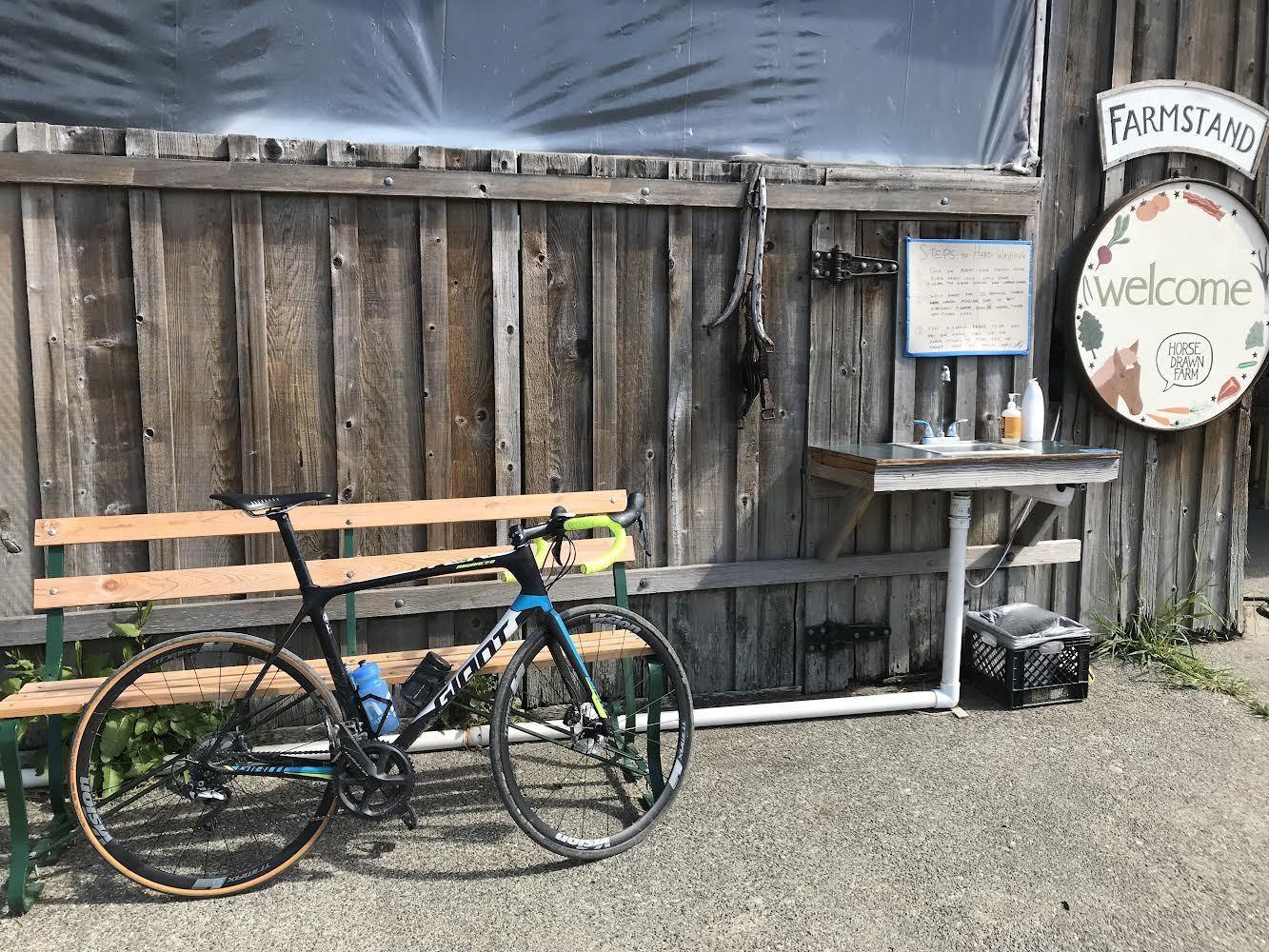 2017 Giant TCR Advanced Pro Disc Black