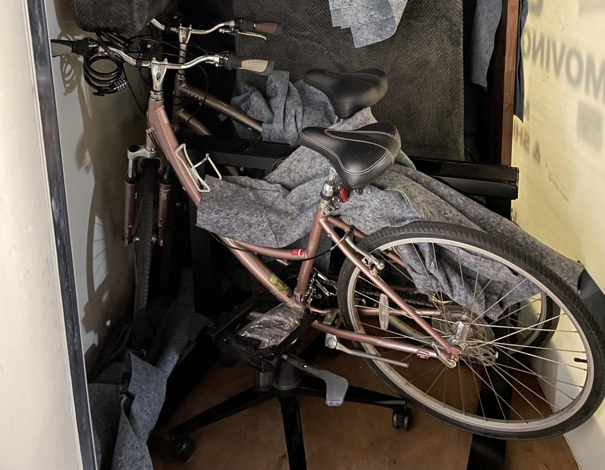 2016 Specialized Camel Globe Pink