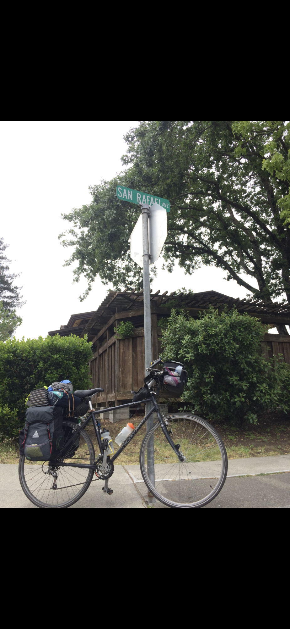Marin Bikes San Rafael Black