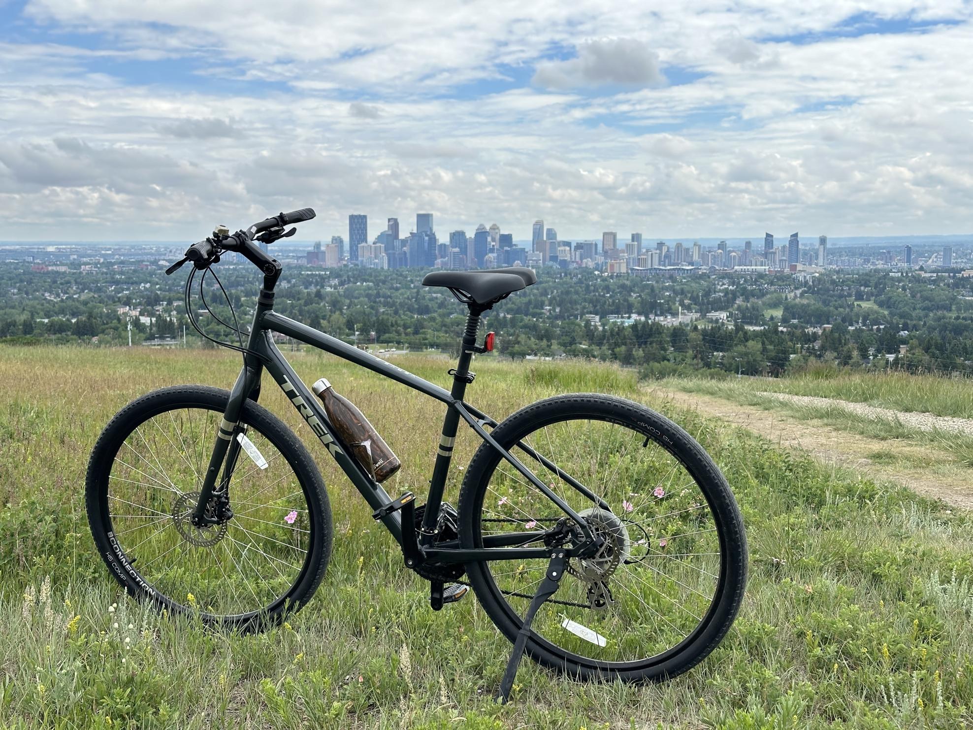 2022 Trek Verve 2 Silver, gray or bare metal