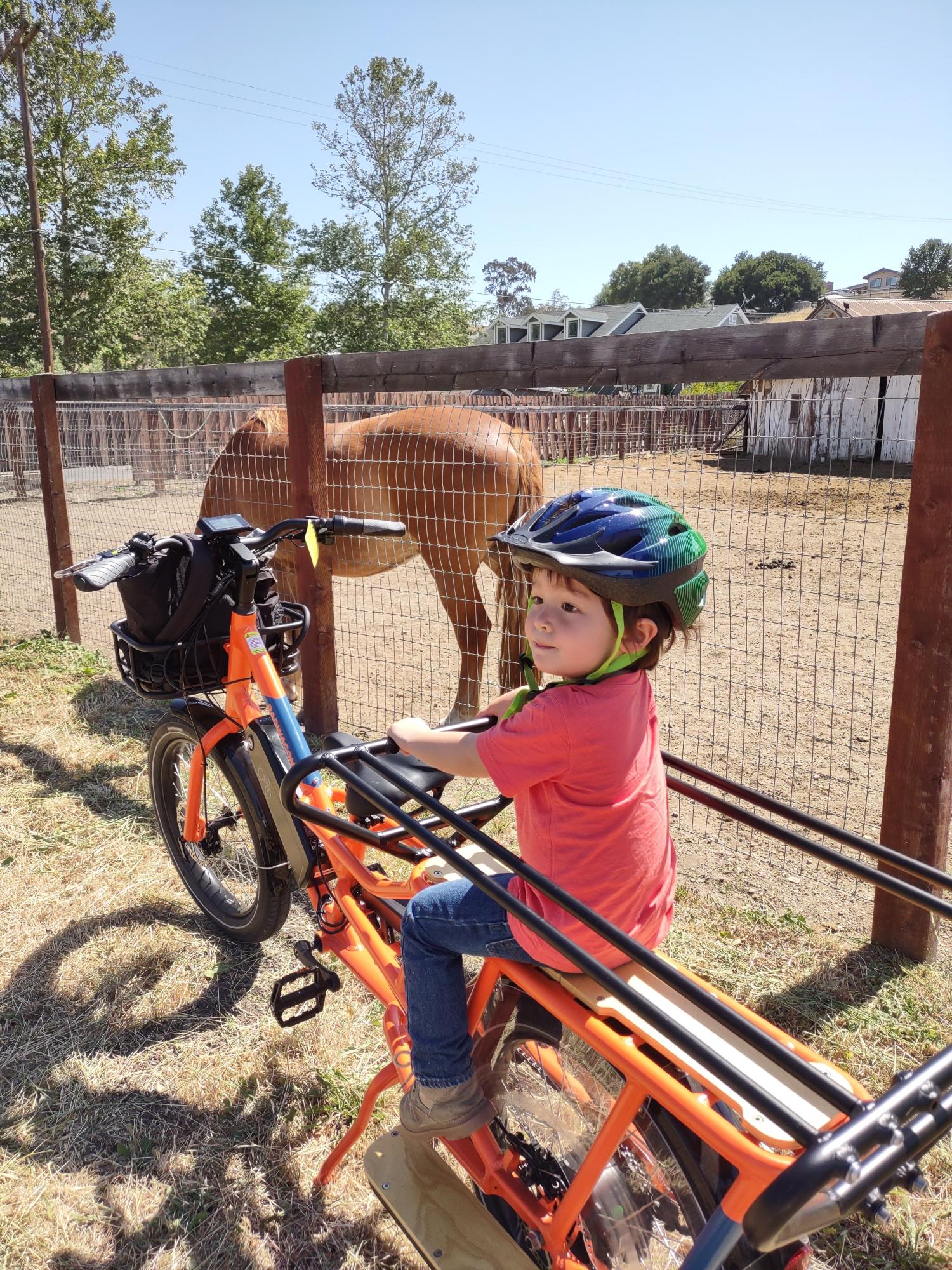2022 Rad Power Bikes 2022 Orange