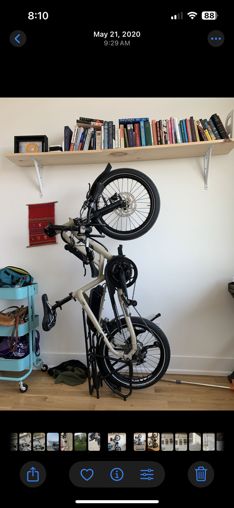 2020 Tern hsd p9 Brown