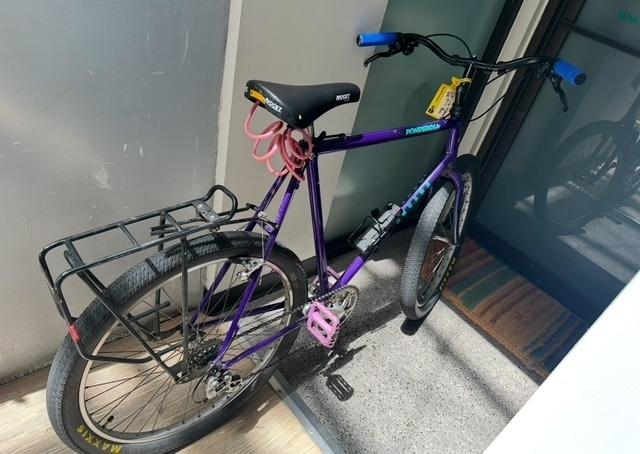 2025 Custom Ponderosa Purple