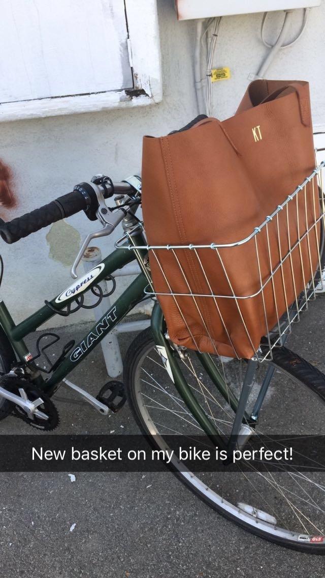 Giant Cypress SX Green