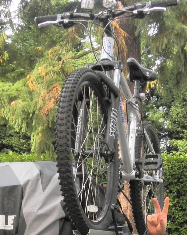 2009 GT Bicycles Silver or Gray