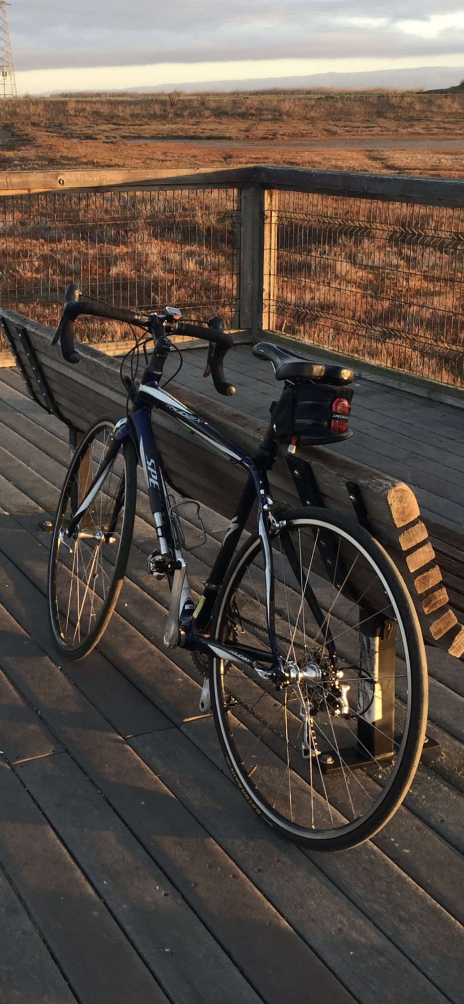 2008 Specialized Roubaix Compact Blue and White