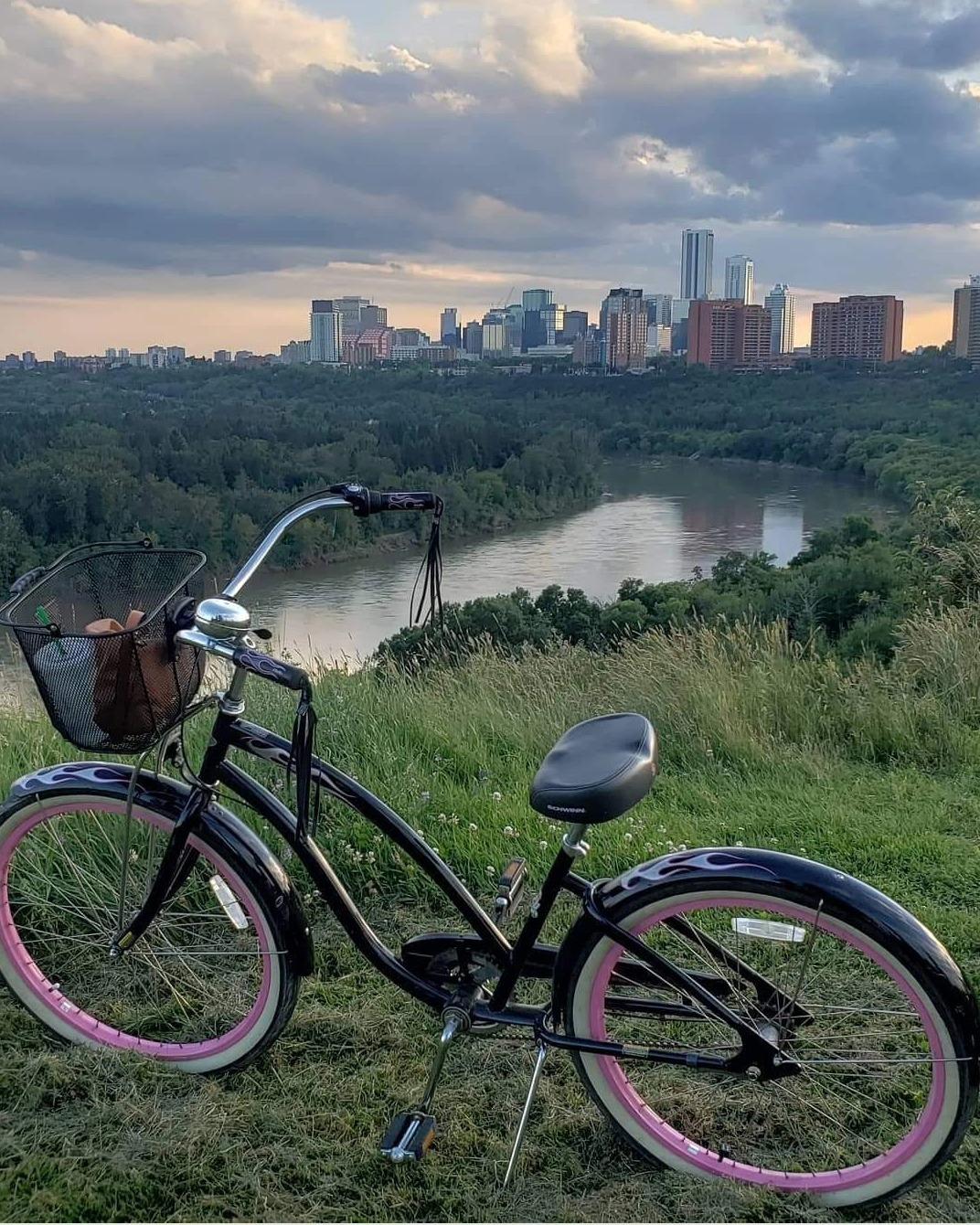 2011 Electra Betty 3I Black and Pink