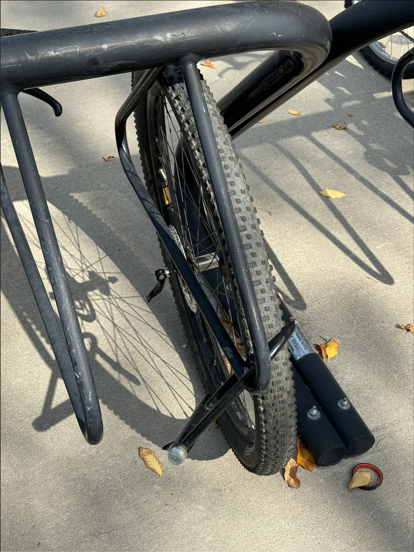 2024 Cannondale Trail 7 Black