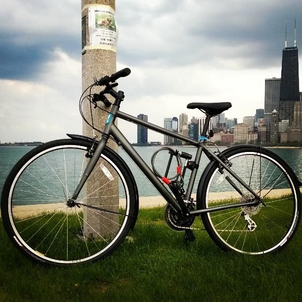 2014 Globe WORK 2 Silver or Gray