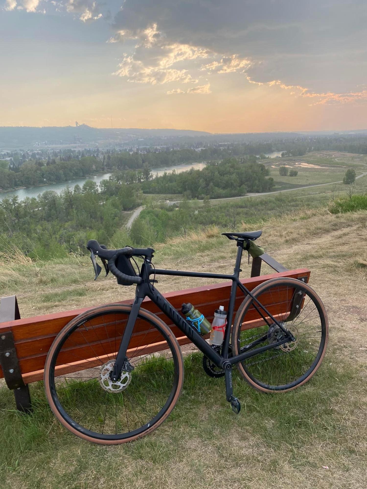 2023 Canyon bicycles Endurace 6 Black