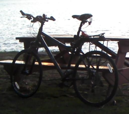 2009 Dahon Matrix  Green