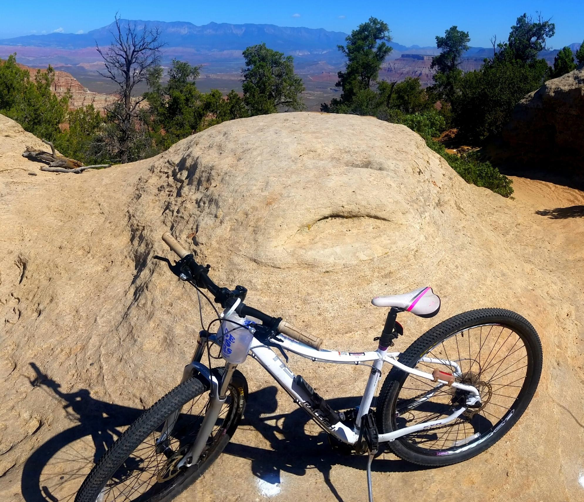 2013 Raleigh EVA 29er White and Purple