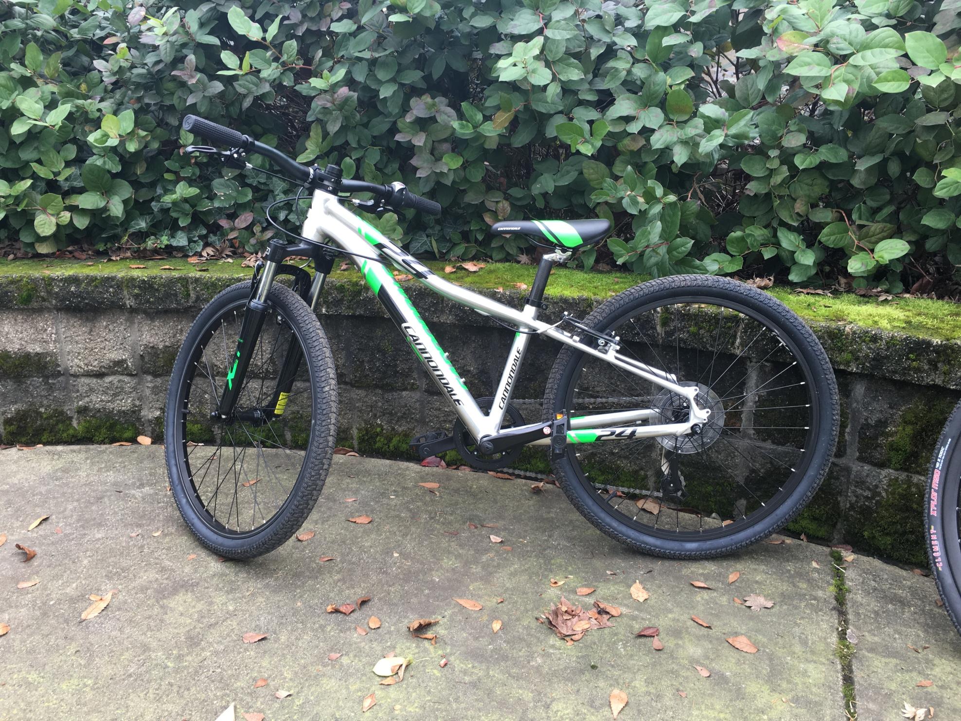 2015 Cannondale Trail 24 Silver or Gray