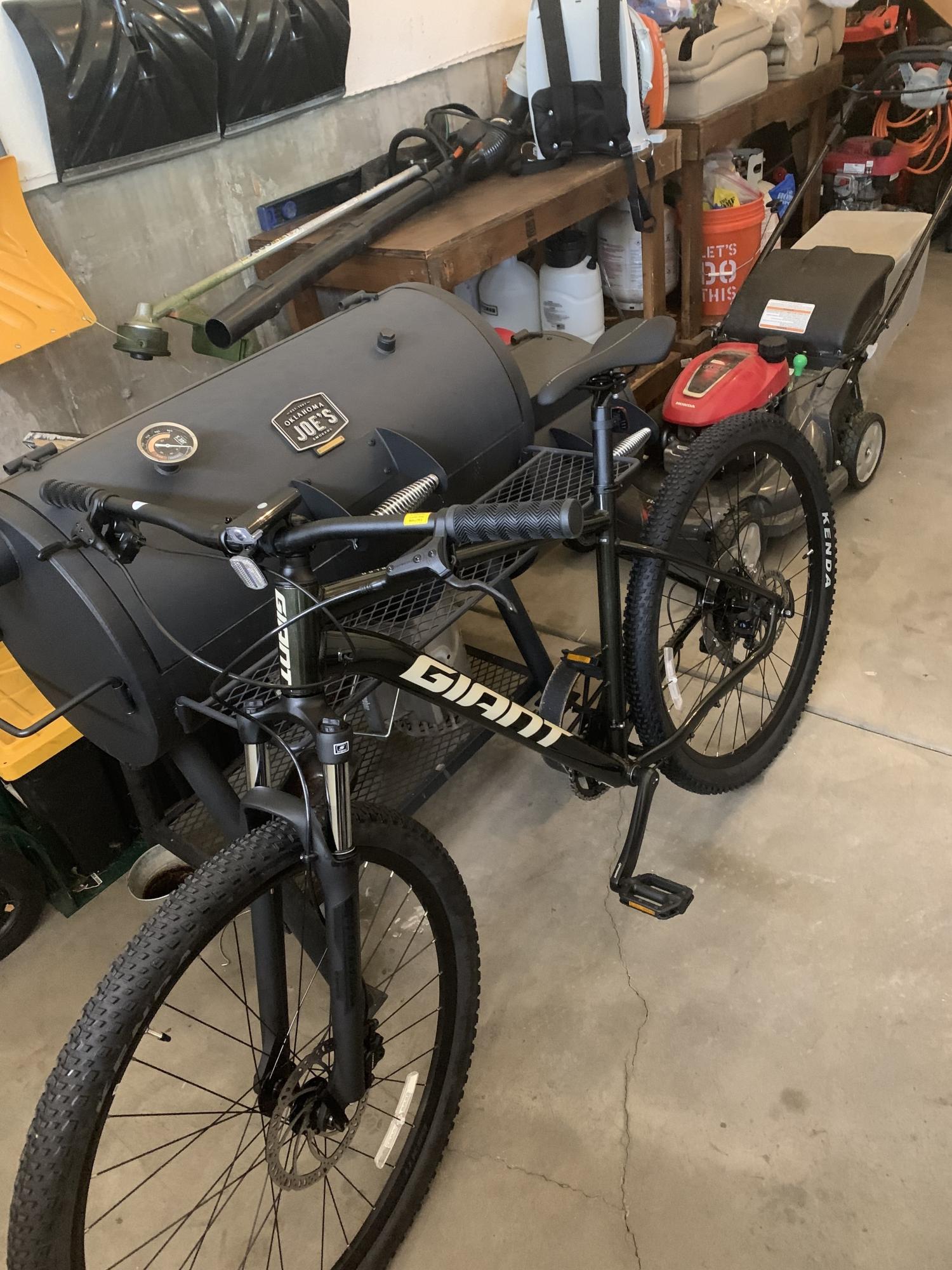 2023 Giant ALUXX-Grade Aluminum, disc Green